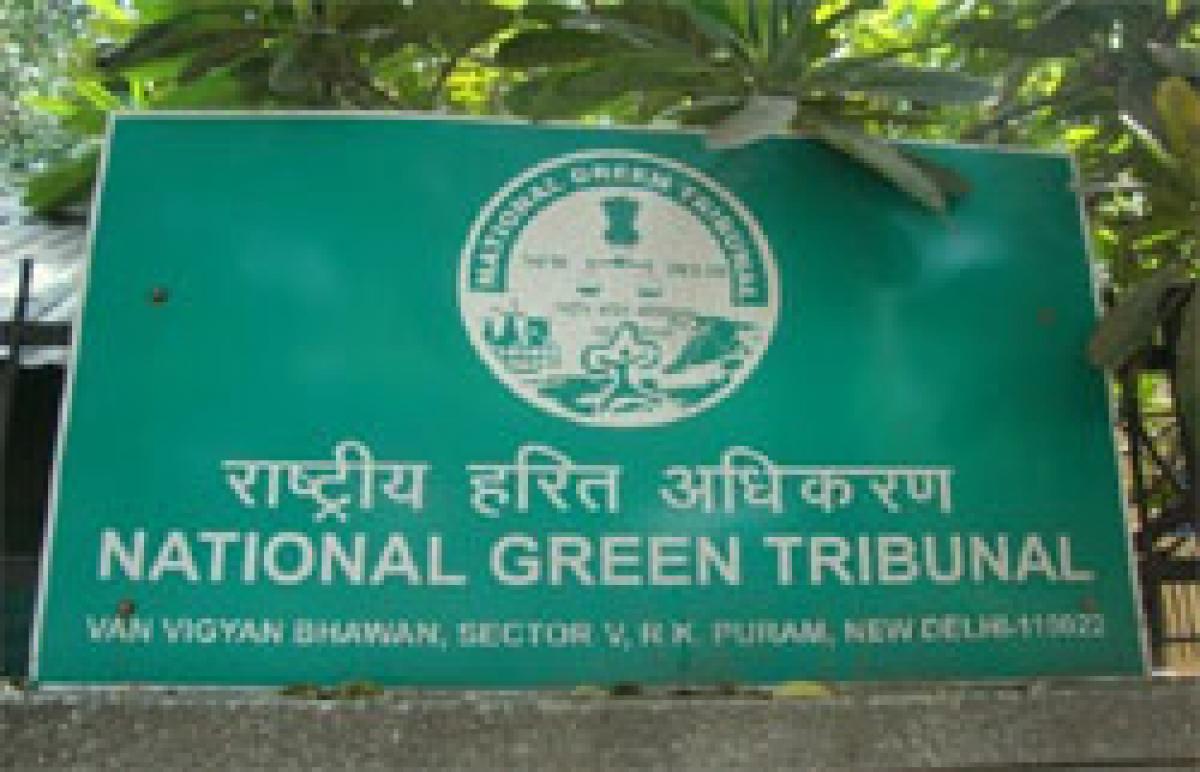 How National Green Tribunals whip against diesel cars drew global attention